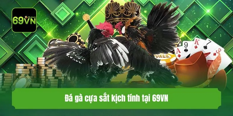 Đá gà cựa sắt kịch tính tại 69VN